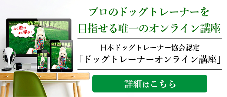 資格について 日本ドッグトレーナー協会